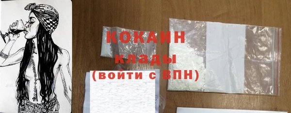 Альфа ПВП Няндома