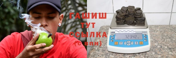 Альфа ПВП Няндома