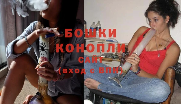 Альфа ПВП Няндома