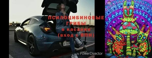 Альфа ПВП Няндома