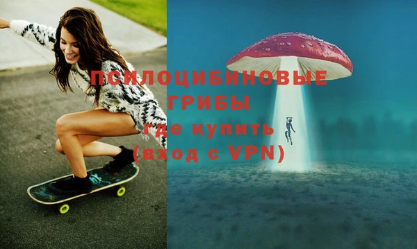 Альфа ПВП Няндома