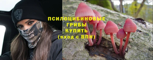 эйфоретик Олёкминск