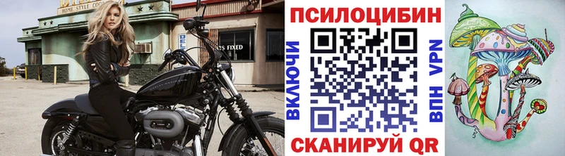 кракен сайт Райчихинск Галлюциногенные грибы GOLDEN TEACHER сколько стоит